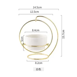 Nordic ins home succulents iron frame ceramic flower pot set