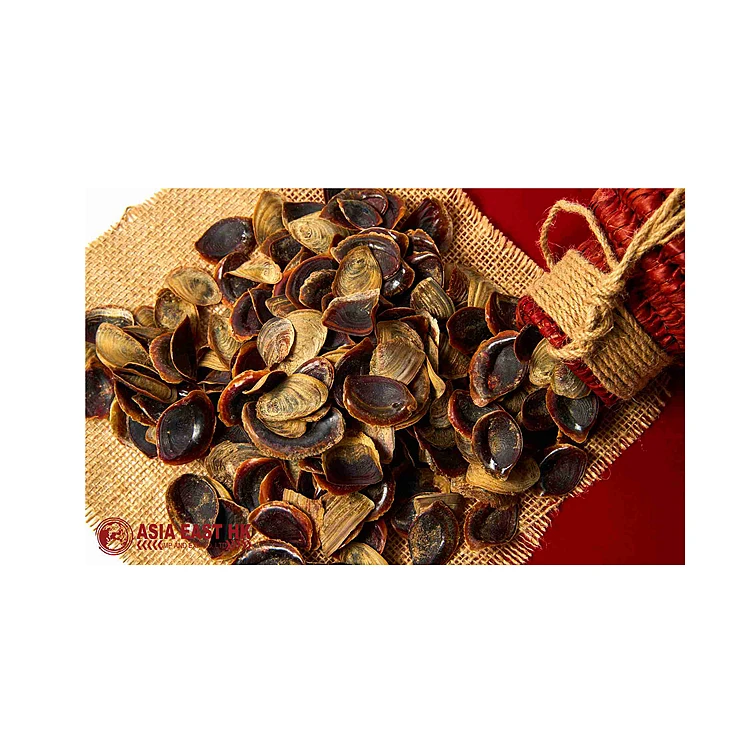 
High quality wholesale price shellfish and seafood products shell-operculum-bone snail 
