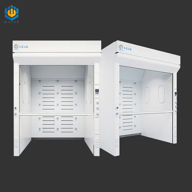 Chinese lab furniture fumehood acid resistant walk in fume hood