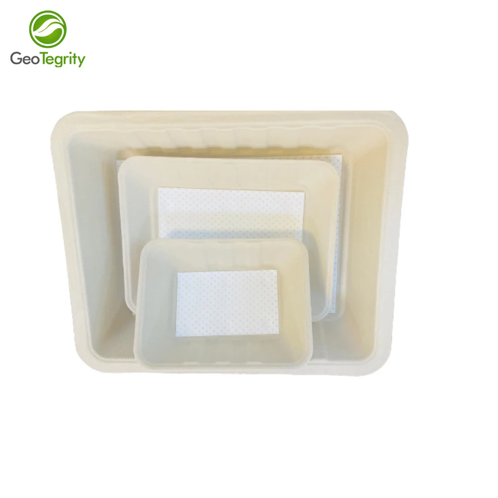 Disposable Sugarcane Bagasse Pulp Meat Tray With Absorbent Pad For Supermarket