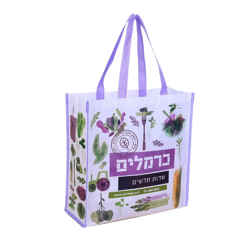 recyle grocery gift bag non woven bag fabric non woven pp metallic laminated bag with zipper manufacturer
