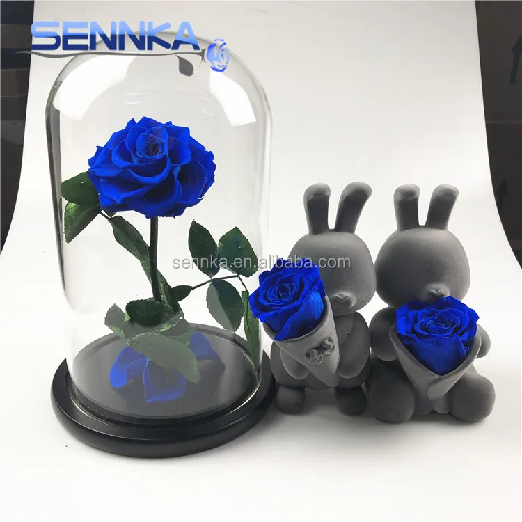 Christmas Stock Teddy Bear Preserved Fresh Roses Perfect Gift Preserved Roses in Glass Dome
