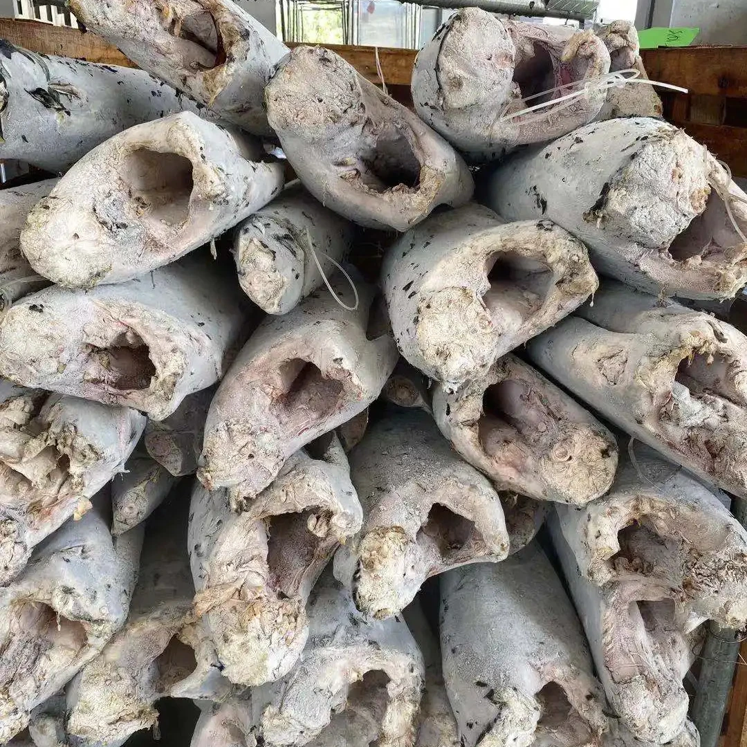 Good Sale Seafood Frozen Sailfish HGT Sword Fish