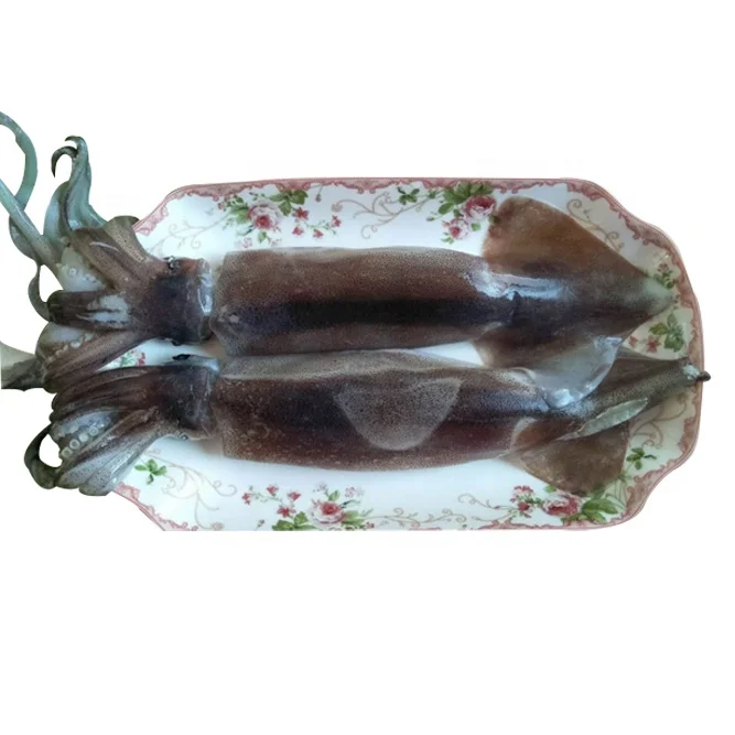 
factory direct sale high quality Frozen black squid 
