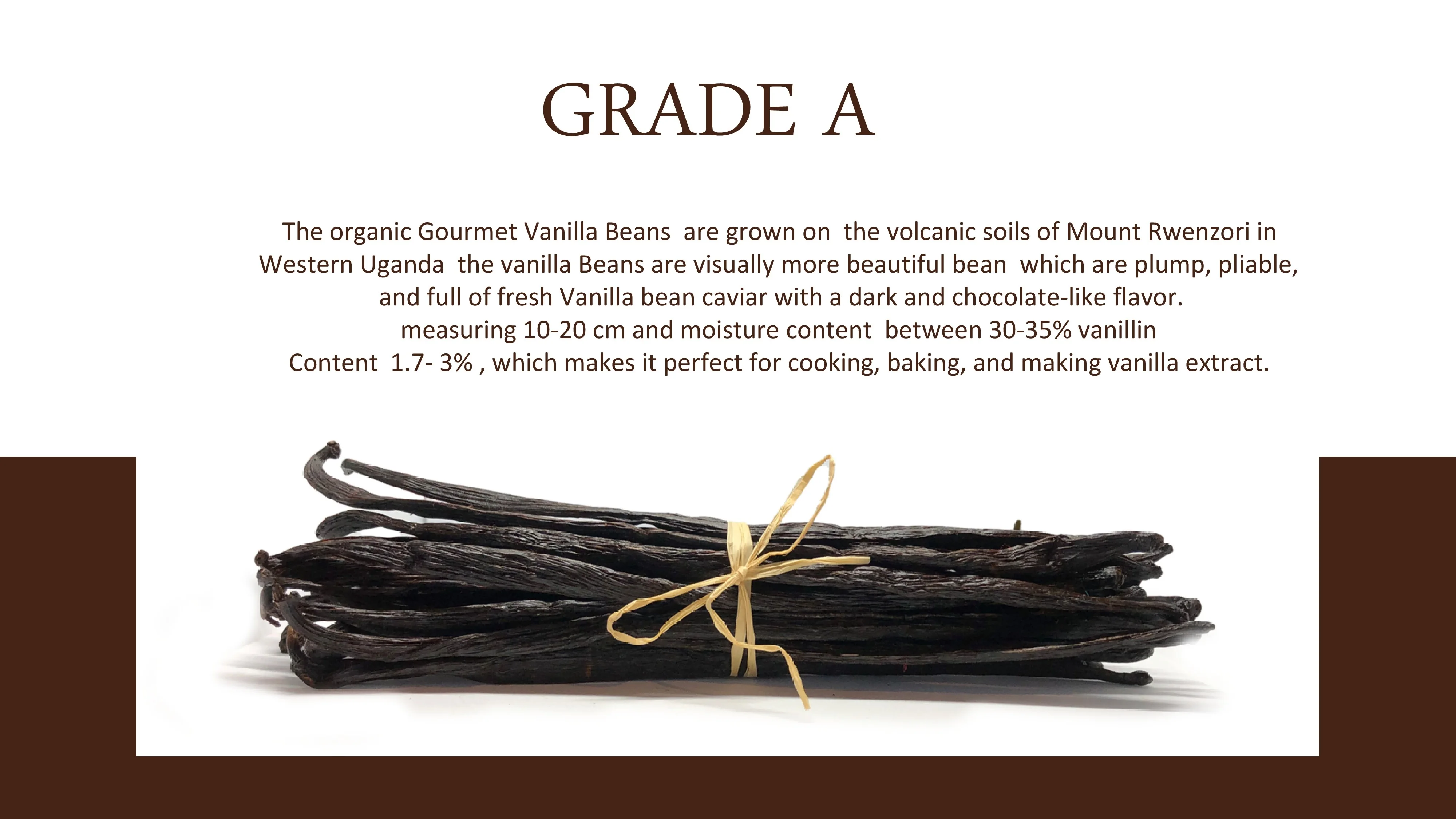 Pure Gourmet Grade A Vanilla Beans Pods for Vanilla  Extraction  from Top Manufacturer