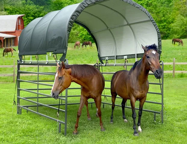 Premium Equine Shelter