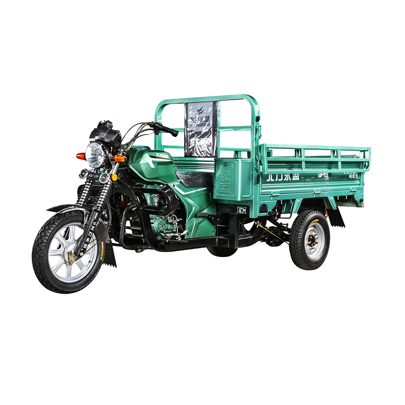 2020 High Quality Family Use 3 Wheel Motorcycle Adult Three in Panama