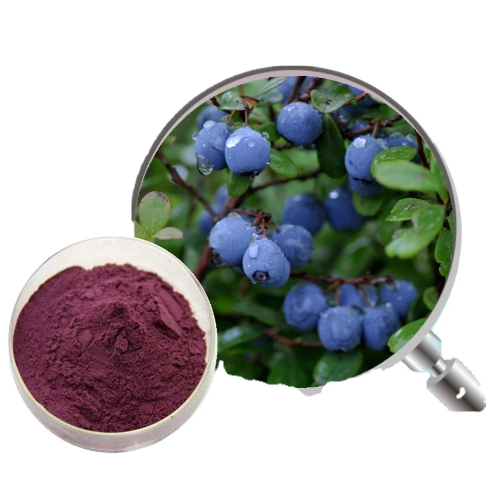OEM Blueberry Powder Blueberry fruit Powder enriched anthocyanin powder