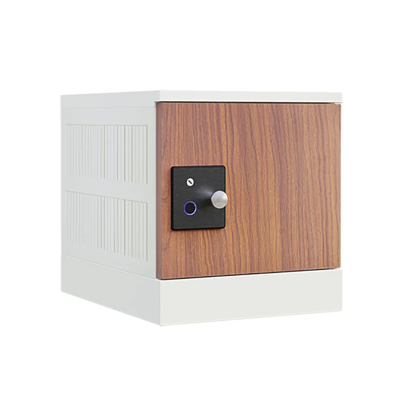 Headleader Smart Silent Fingerprint Lock Assembled Cabinet Luxury Metal Panel Locker for Hospitals Libraries Private Clubs