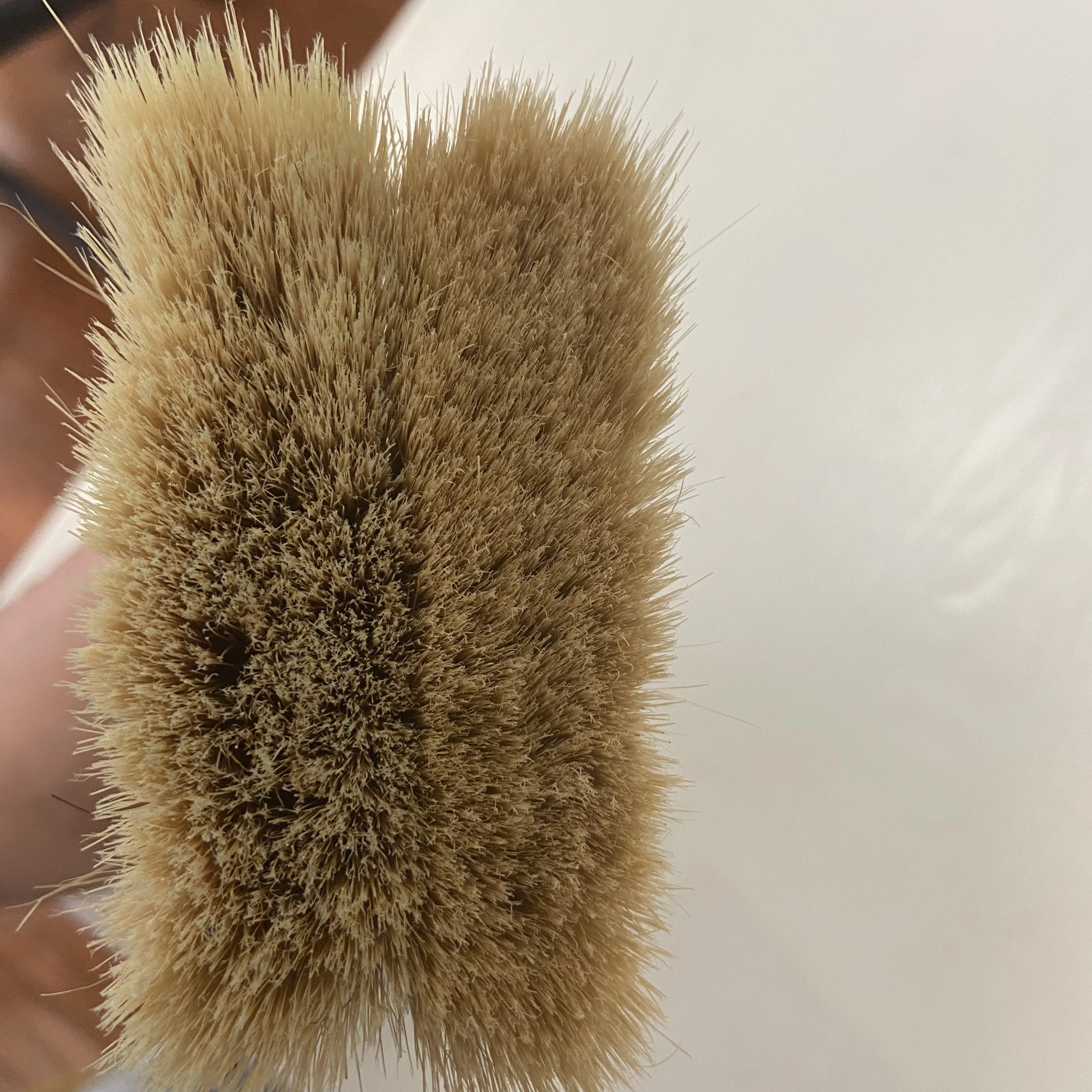 
cheap lion paint brush for bangladesh 
