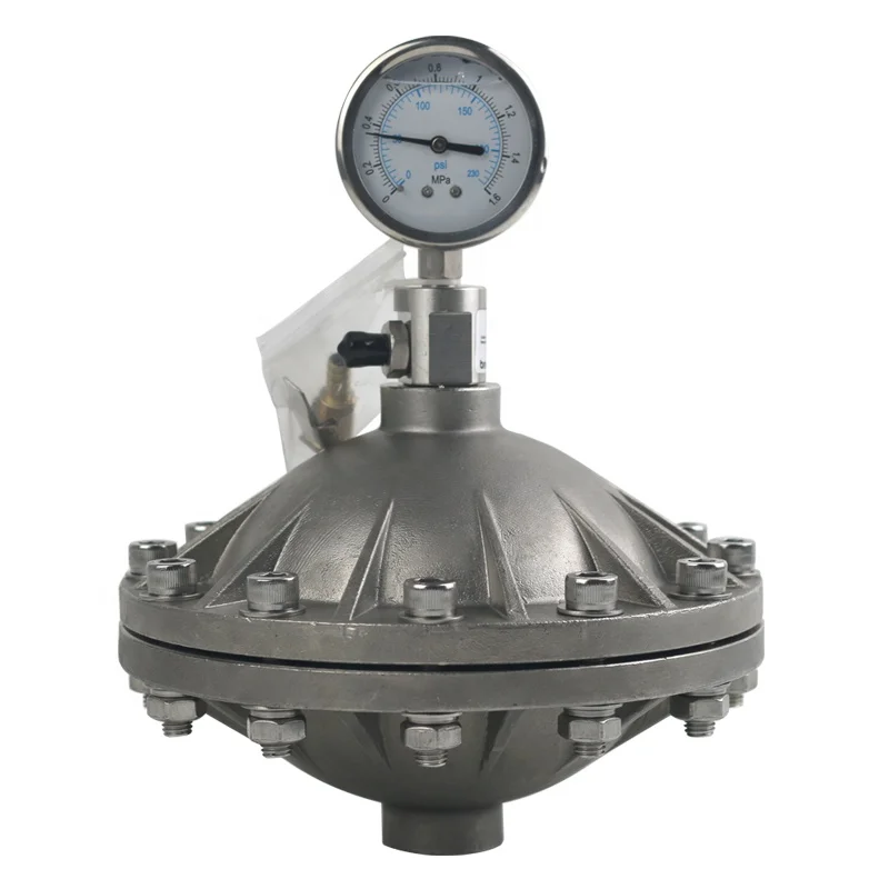 DN20 0.6L SS304 Diaphragm Type Pulsation Damper for dosing metering pump