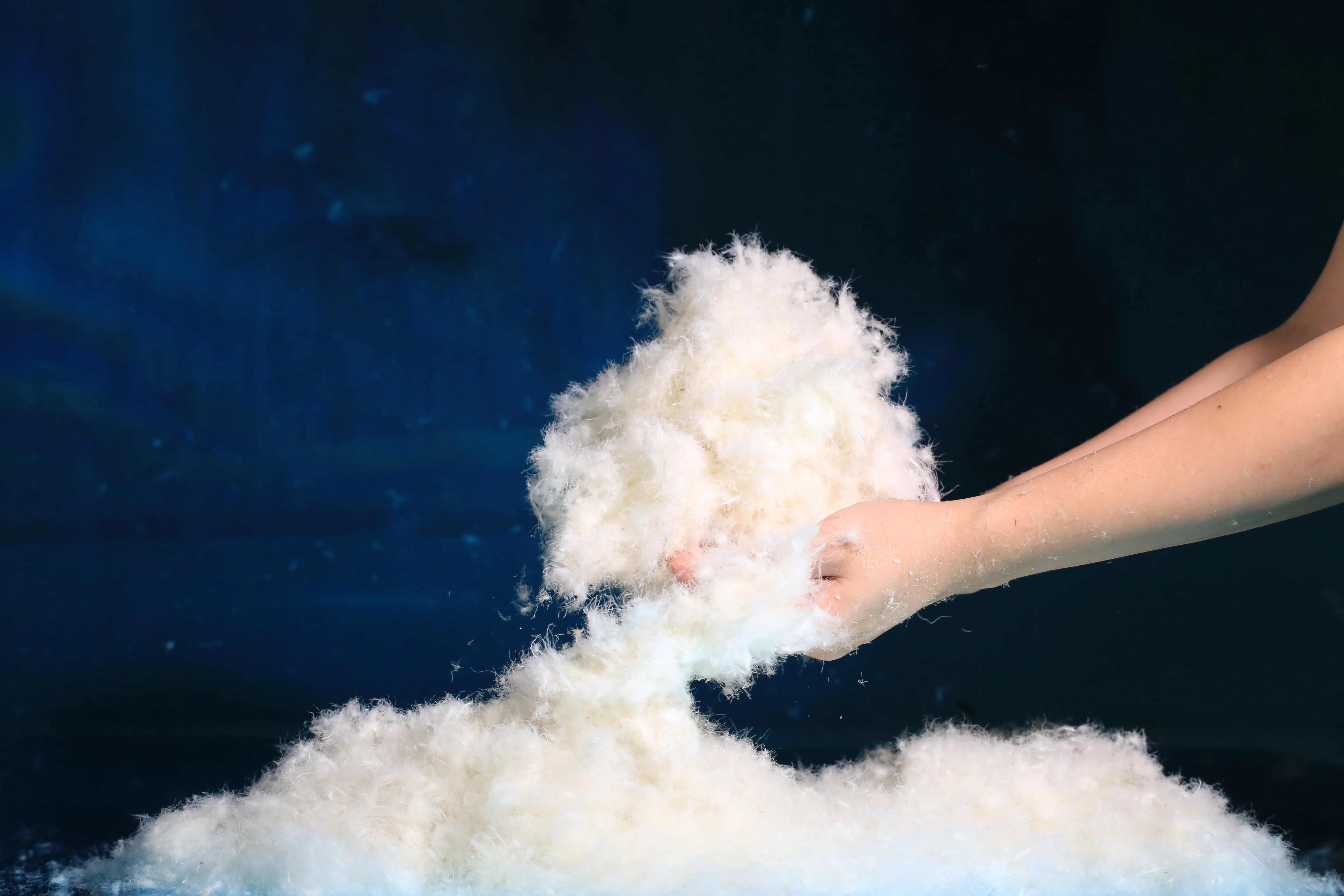 
70% Good Quality Down Coat Down Jacket Filling Material Washed White Duck Down 