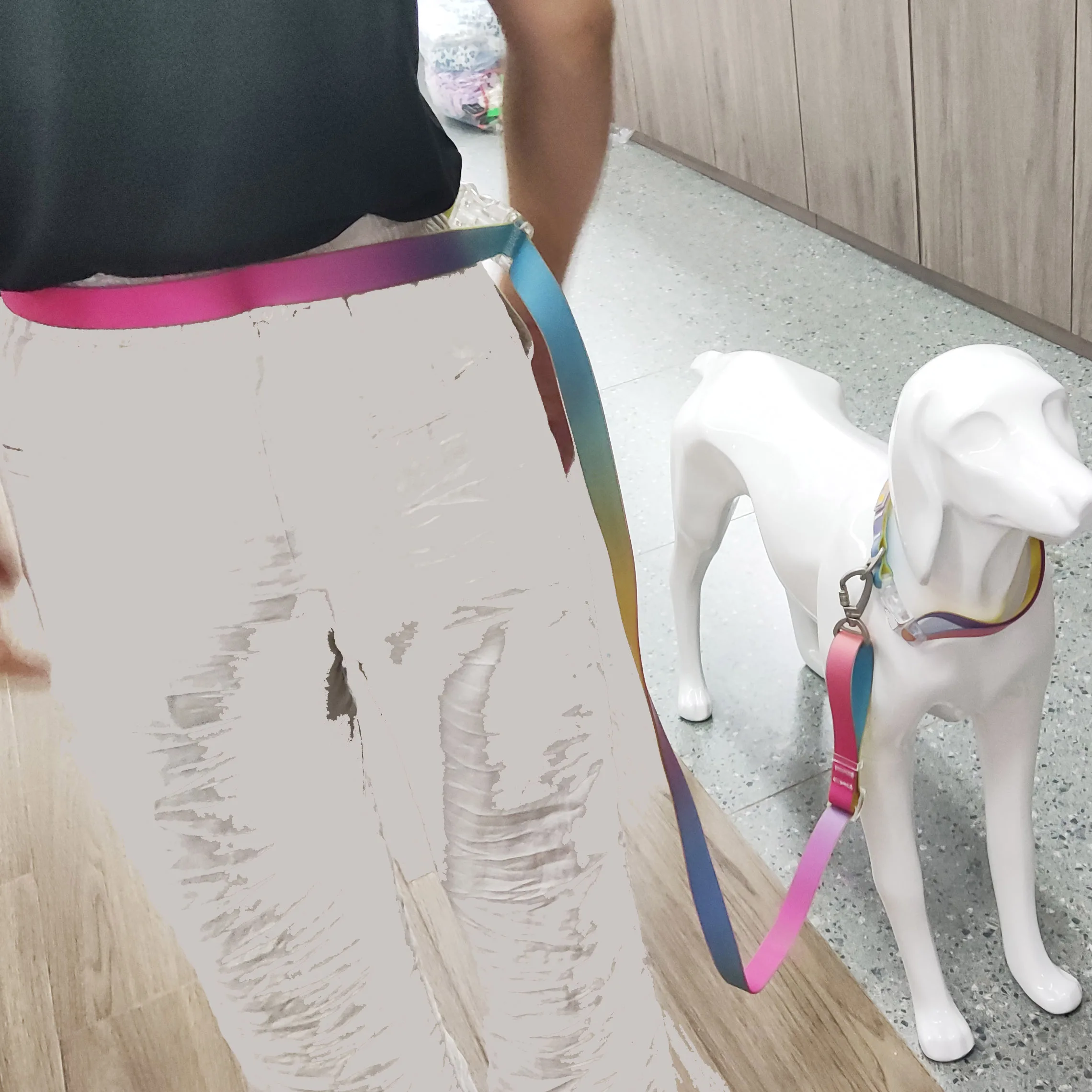 Customized fashion silicone TPU PVC Waterproof multifunctional dog leash and collar with heat transfer logo