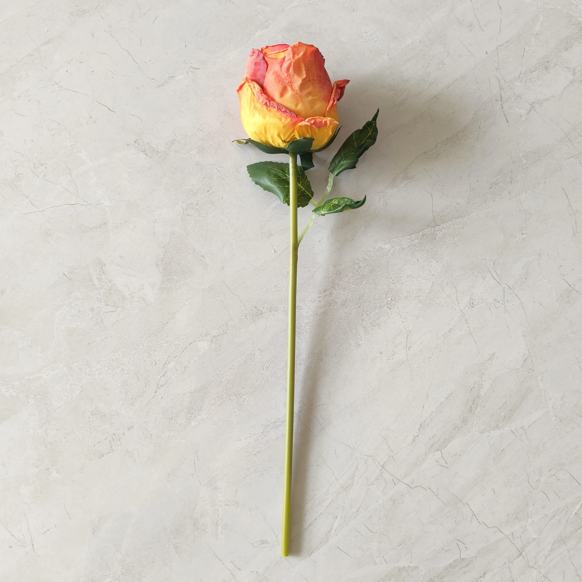 YIWAN big Single burned edge lover roses acacia rose Cheap Flowers for Home Wedding Decorative Flowers Hot Sale