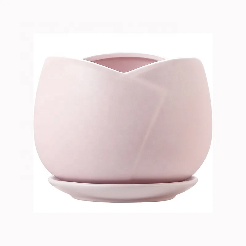 Wholesale Cute Creative Home Decor Container Porcelain Ceramic Bonsai Succulent cactus Flower Pot Planter with tray