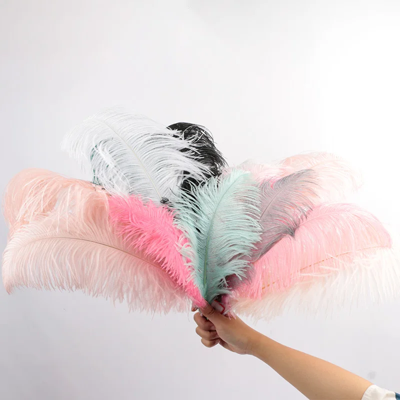 
Популярные декоративные большие цветные страусиные перья на 24 дюйма для стены из перьев 