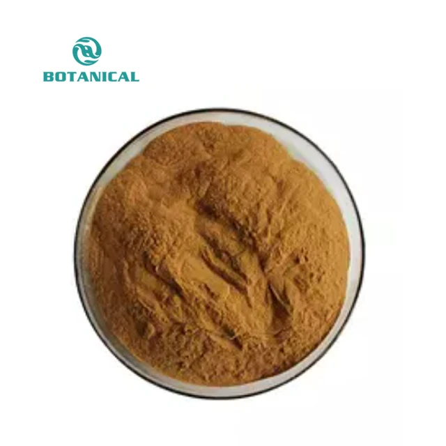 B.C.I Supply Yerba Mate Extract/Ilex Paraguariensis Leaf Extract With Low Price