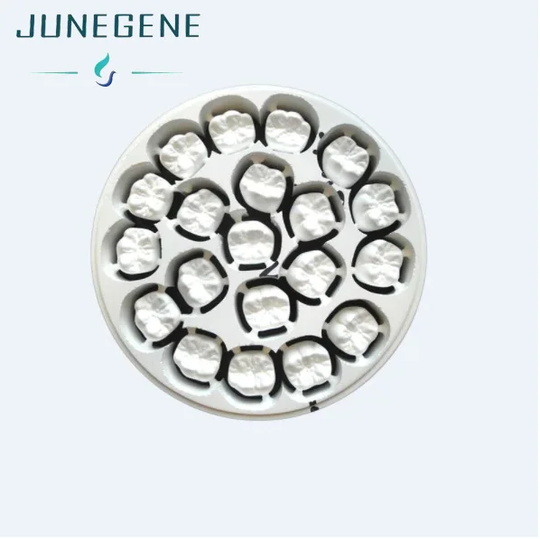 Zirconia Polishing Restoration For Alloys and composites Dental Porcelain Teeth