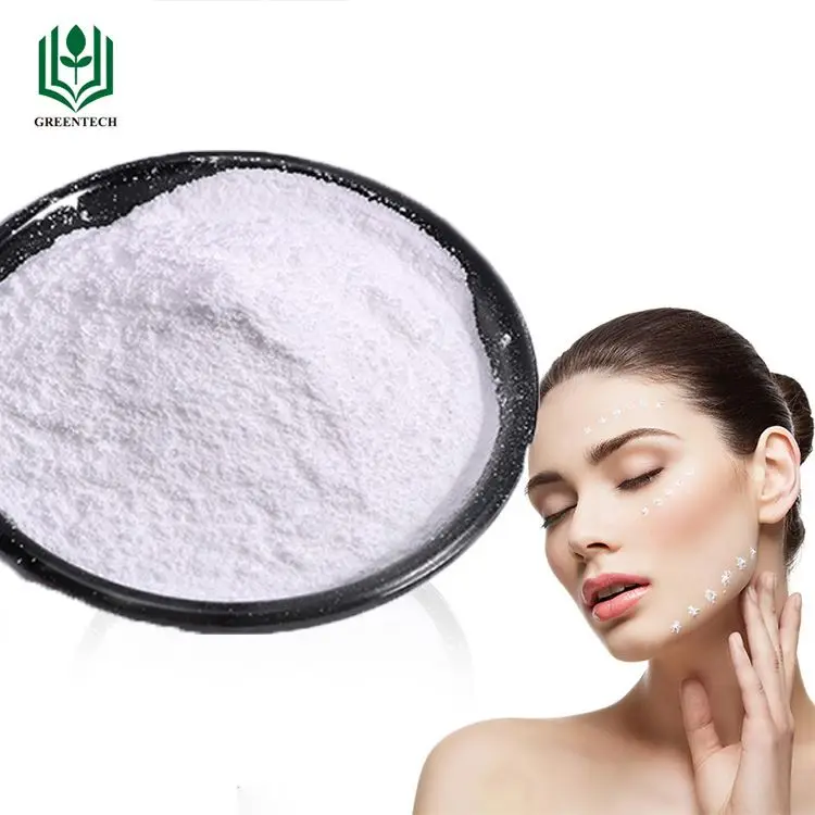 Sodium Hyaluronate Ordinary Bulk Cosmetic Grade Food Hydrolyzed Cosmotic Hyaluronic Acid Powder