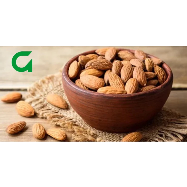 
Healthy Top Grade Organic Almond Kernels Dried Almond Nuts 