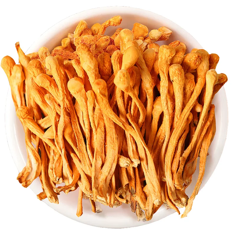 HUARAN New crop fungus cordyceps militaris 100% pure natural wholesale spices  cordyceps sinensis