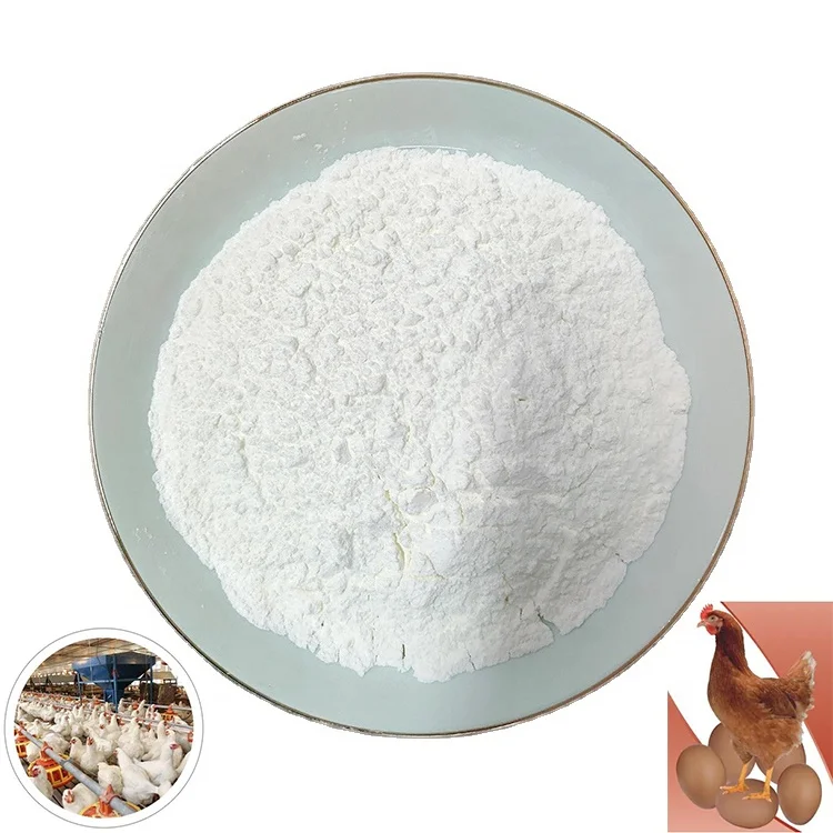 Wholesale 30% bile acid for layer and broiler Poultry feed additives broiler feed additives bile acid