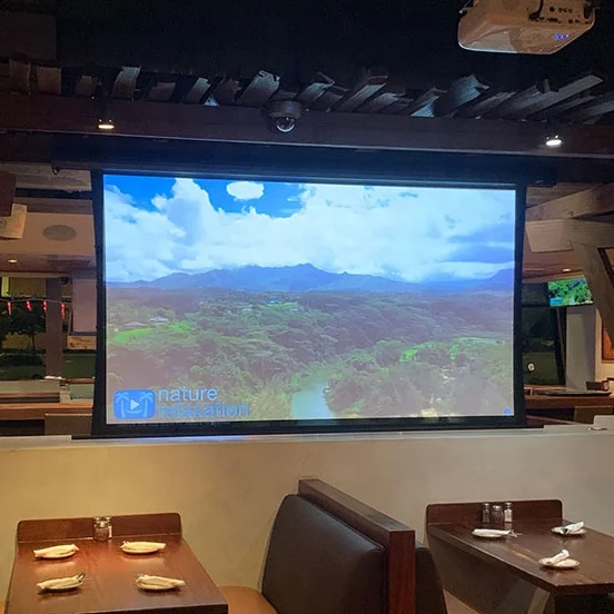 Automatic Front Rear Dual 16:9 Outdoor Electric Motorized Projector Screen