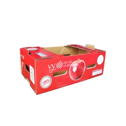 Custom logo printed fruit cardboard banana packing cartons boxes for sale