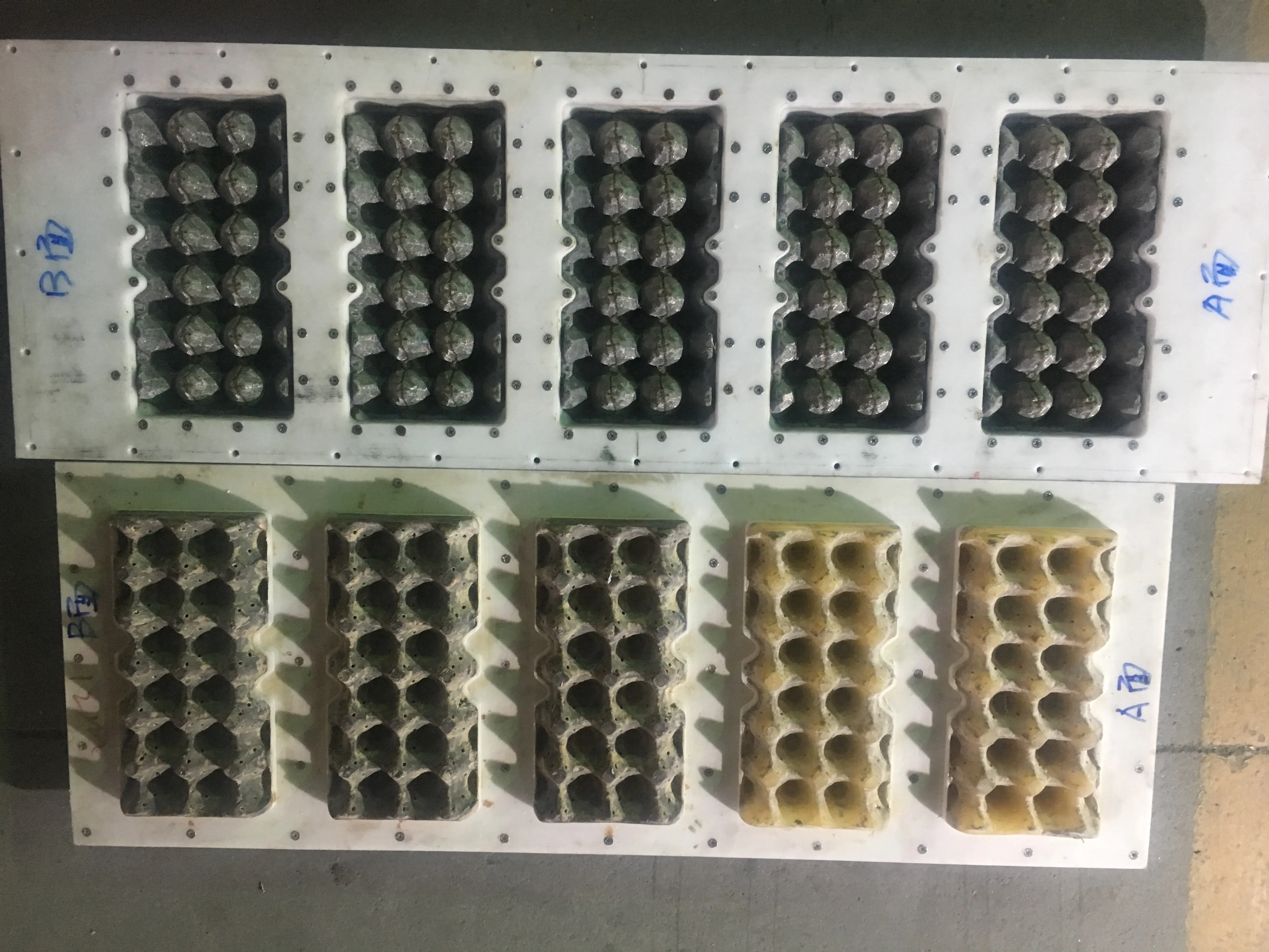 A dozen packed egg box mold/ egg tray mould