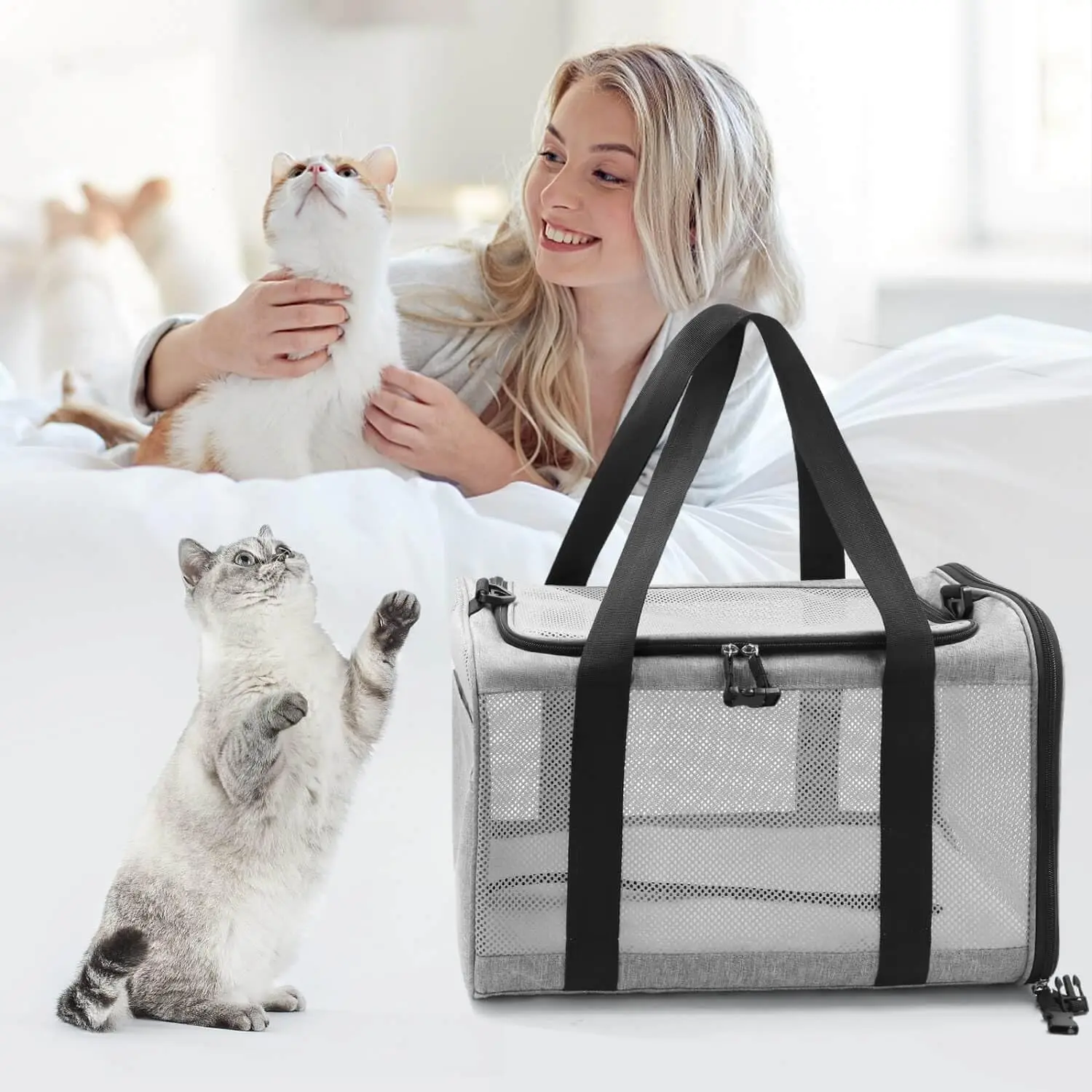 Pet Cages Carrier Hot Sale High Quality Durable Expandable Oxford Mesh Window Airline Approved Cat Bag Pet Carrier