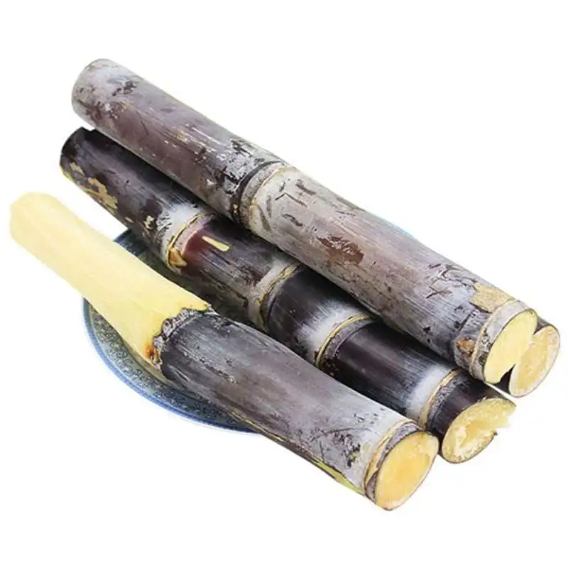 Вьетнамское сырье высшего качества оптовая продажа свежий сладкий замороженный сахарный тростник 1/8