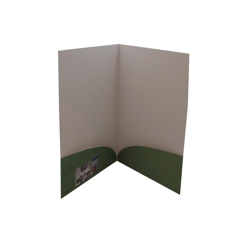 Hot Sale A4 Office Stationery Paper File Folder With
