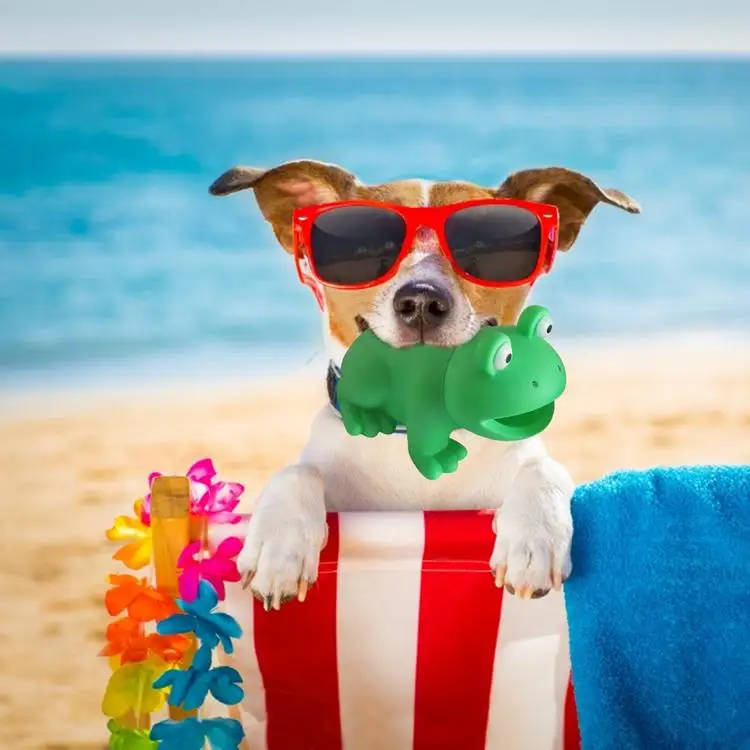 
Squishy Frog Toy Stress Relief Green Latex Safe Funny Trick Sounding Frog Stress Vent Squeeze Kids Toys 