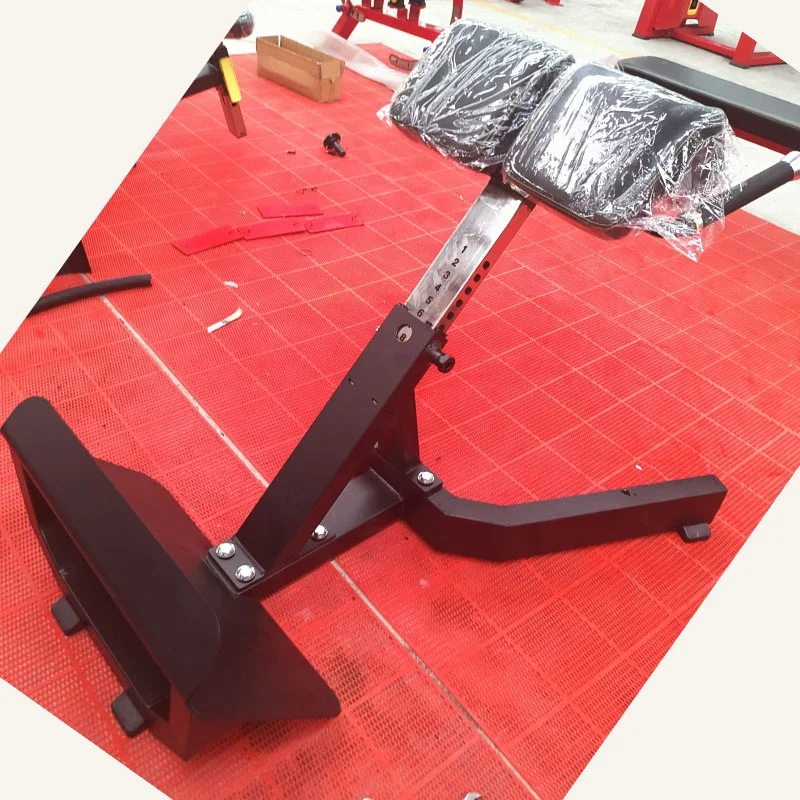 Manufacturers Provide Gym Sports Equipment 45 Degree Roman Chair Back Extension