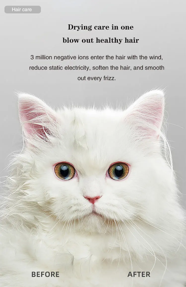 39 Degrees Constant Temperature Pet Drying Box Fully Automatic Intelligent Hair Dryer for Cats and Dogs 360 Degrees Drying