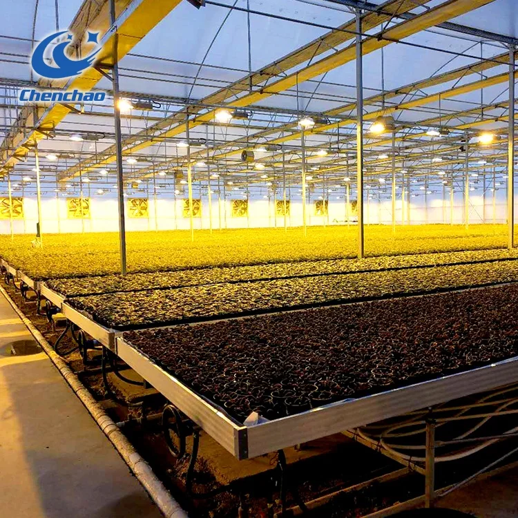 greenhouse single dental plastic seeding bed ebb flow rolling table/ bench with flood plastic tray/seeding