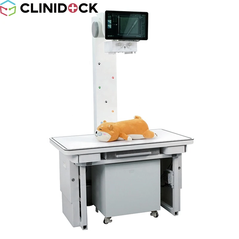 Portable X-ray Machine 5kw Veterinary Ray X 4KW High Frequency