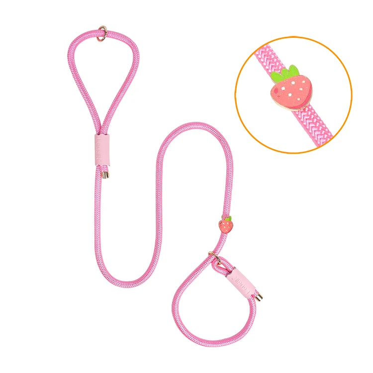 Loudik Wholesale Manufacturer Personalized Stock Western Style Quality Nylon Rope Pet Collar Leads Accessories Luxury Dog Leash