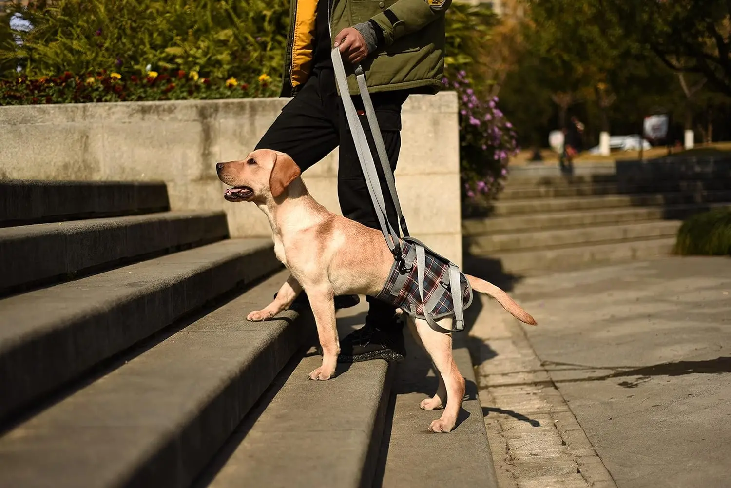 High Quality Comfortable Hind Leg Disability Omni-directional Auxiliary Good Helper Dog Lift Harness