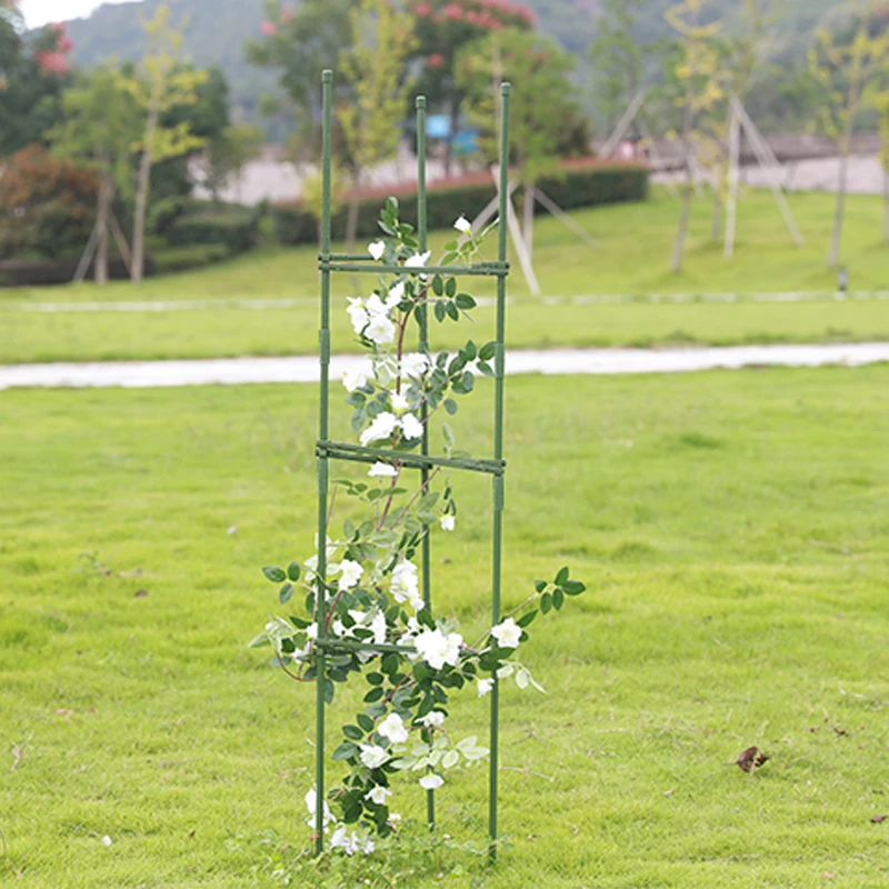 Support Strut Tomato Trellis  Plant Support Tomato Cage Planter Climbing Cage