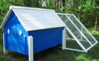 Blue Wooden Pets Cage Wholesale Customized Chicken Coops With Outdoor Run Hen Chicken Coop