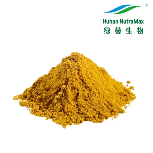 Curcuma Zedoary Root Extract Powder 4:1 to 20:1
