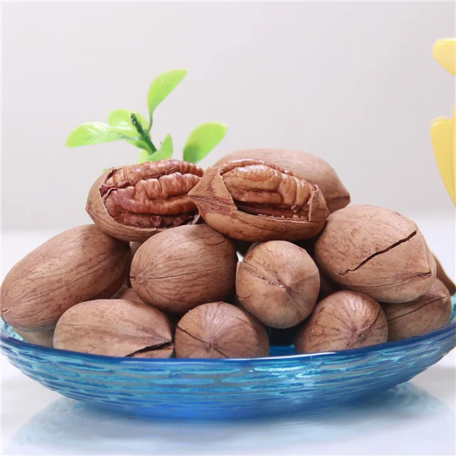 China Origin Cheap Price Roasted Pecan Nuts 100% Natural kernel pecan nuts Fresh Pecan Nuts