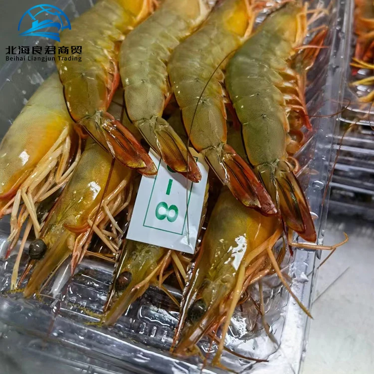 Прямая поставка с завода высокое качество оптовая продажа импортеры белых креветок/креветок пресной