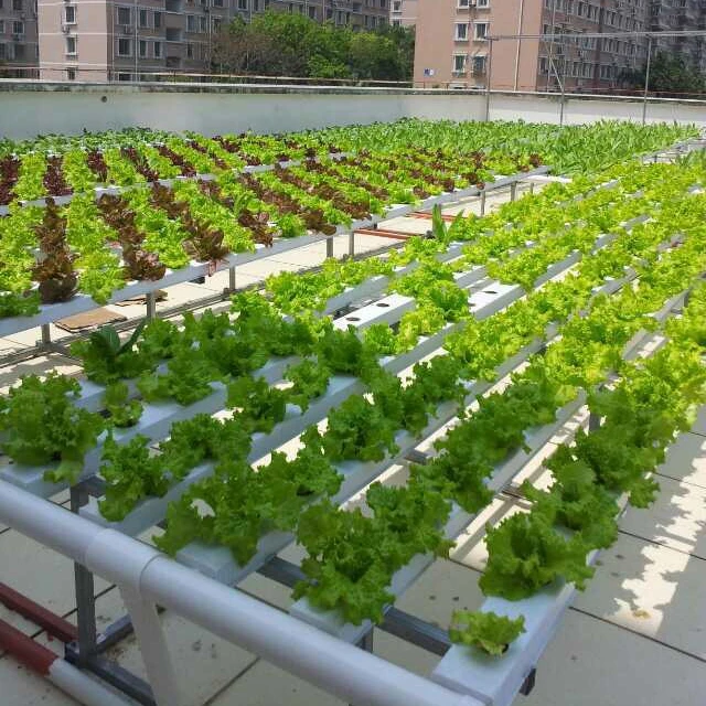 UPVC Plastic Square 100*50mm Pipe Nft Hydroponic Growing Gully System for Lettuce Salad