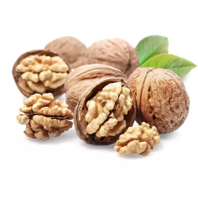 Walnut Best Price Common Walnut Nuts Top Class Walnut Kernels Dried Style Raw Waln Turkey Best Supplier Good Packaging Food