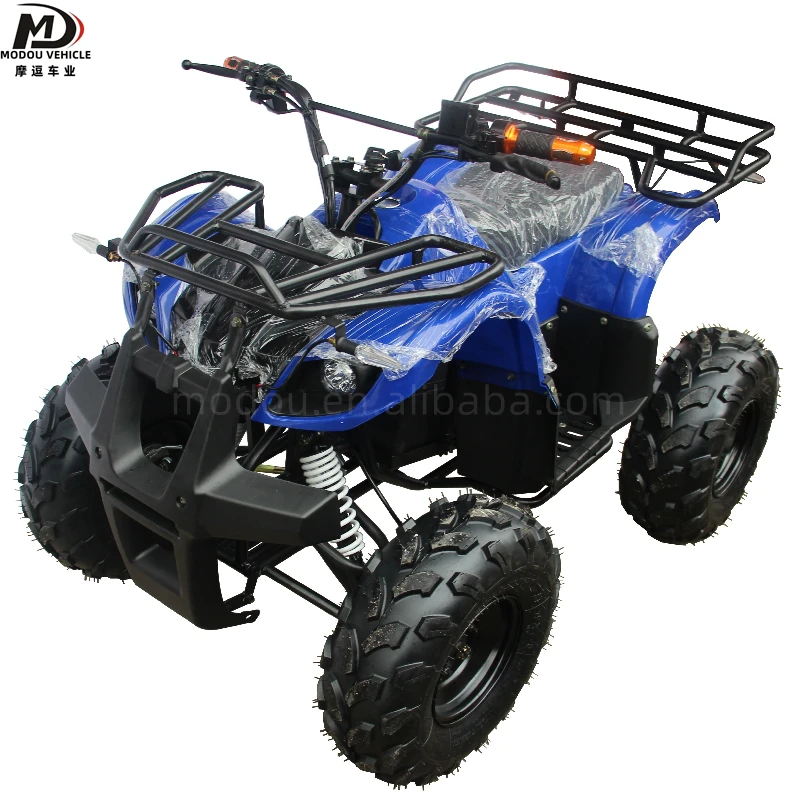 Adult children electric ATV 500W small atv entertainment