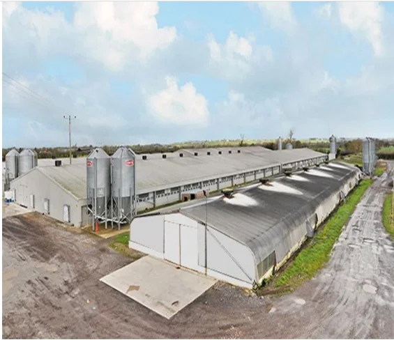 Customized Prefabricated House Steel Structure Poultry Farm Broiler Chicken Layer House