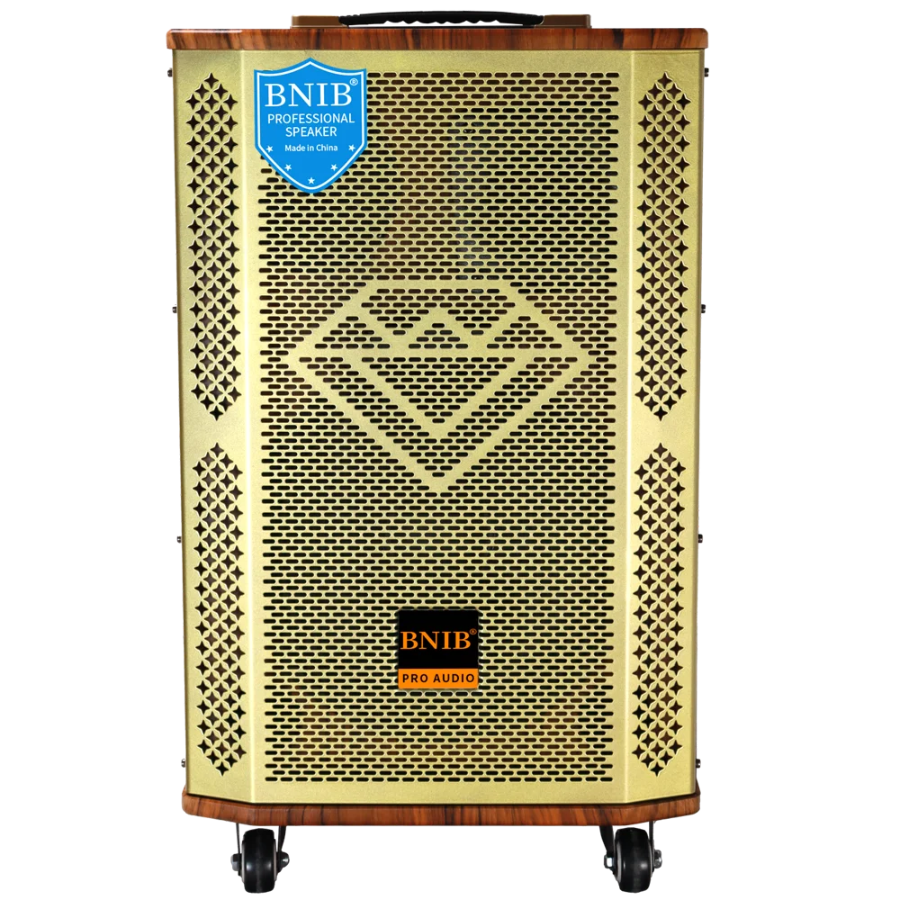 Wooden Trolley Speaker 6 Inch Speaker Wireless Outdoor Speaker Karaoke Outdoor Stage Home Theatre System