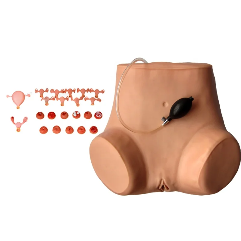 Multi-functional Gynecologist Nursing Training Manikin Vaginal Examination Model